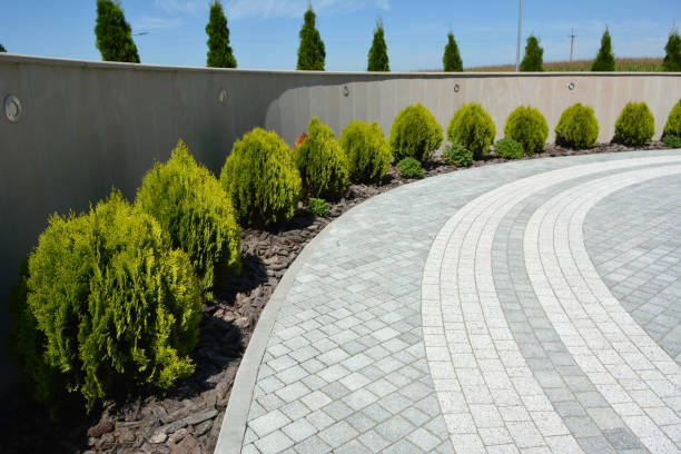 Reasons to Select Us for Your Driveway Paving Requirements in Nettleton, MS